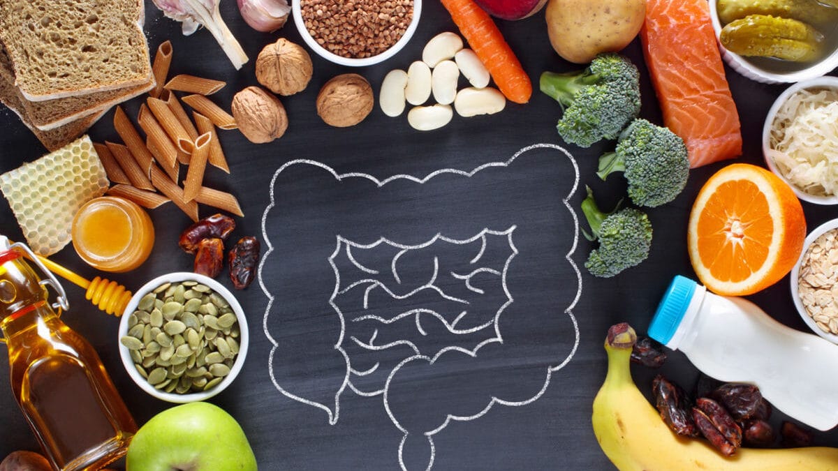 Understanding Gut Health